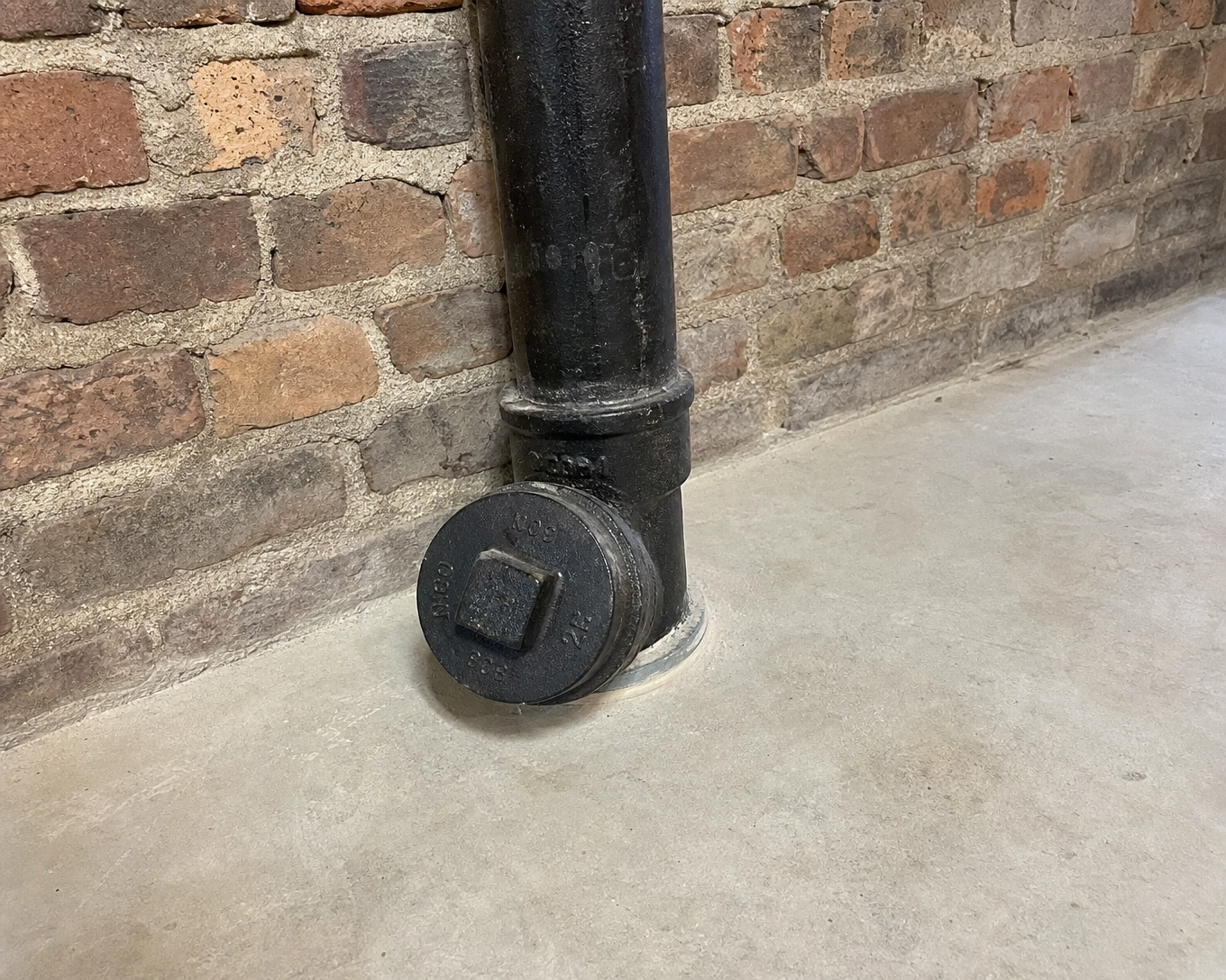 Forestier Rooter LLC gallery photo
