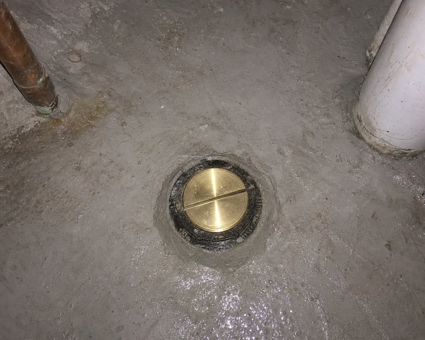 Forestier Rooter LLC | Evanston, IL