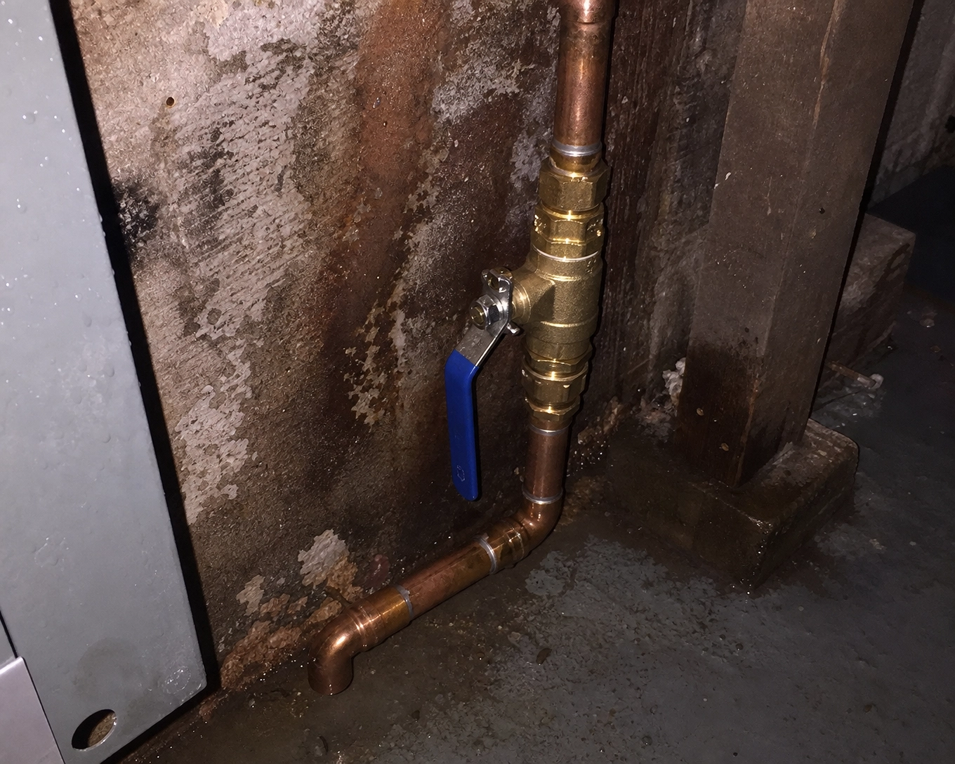 Forestier Rooter LLC | Des Plaines, IL